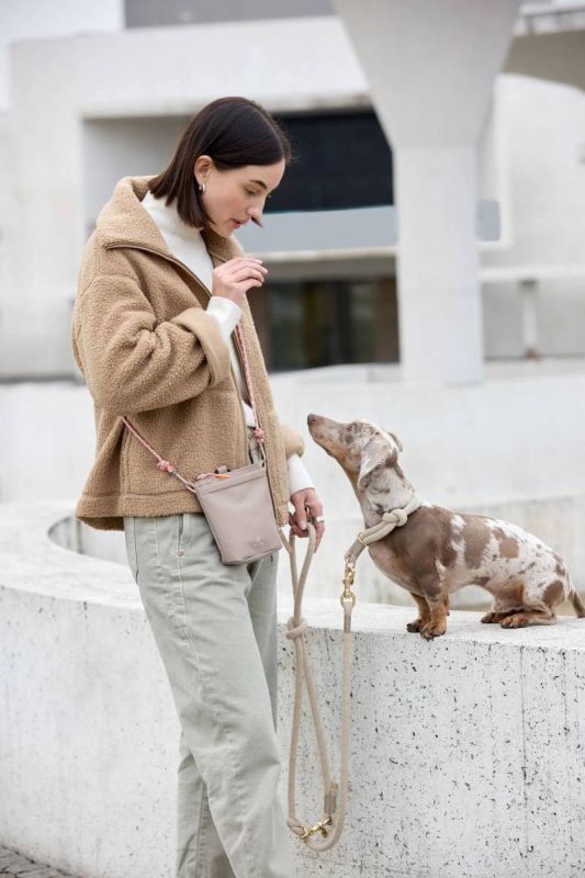 Сумка для ласощів і аксесуарів собак Palopa Karl M Сіро-коричневий