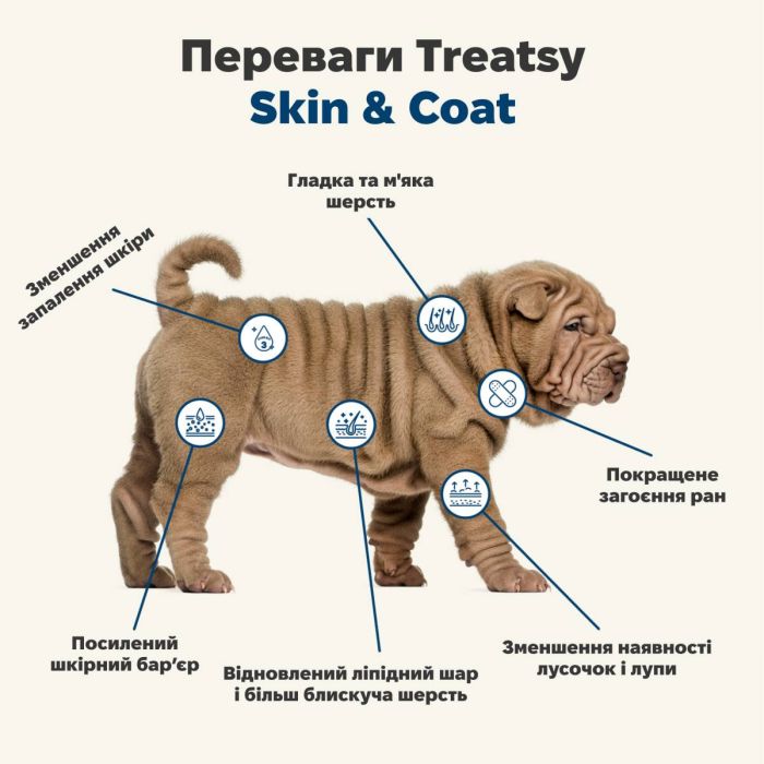 Функціональна олія для вовни та шкіри собак і кішок Treatsy Skin & Coat 250 мл