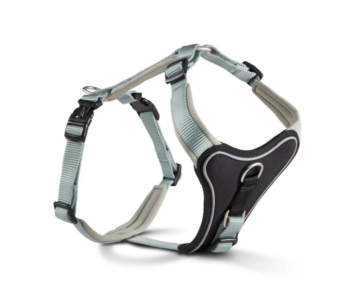 Шлейка для собак пом'якшена Wolters Professional Comfort 2 40-45 см / 25 мм Зелений