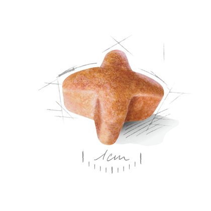 Royal Canin (Роял Канін) German Shepherd Adult 24 сухий корм для дорослих німецьких вівчарок 12 кг