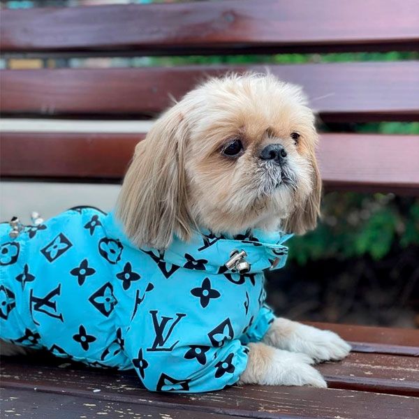 Комбінезон Льюїс велсофт (хлопчик) L