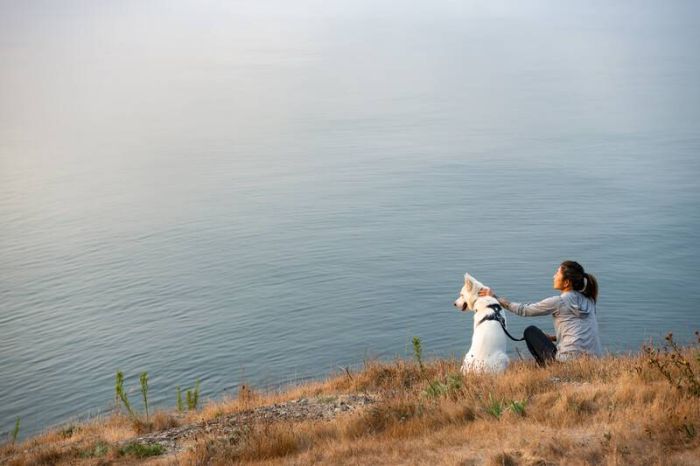 Повсякденна шлейка для собак Ruffwear Front Range® M 69-81 см Сірий