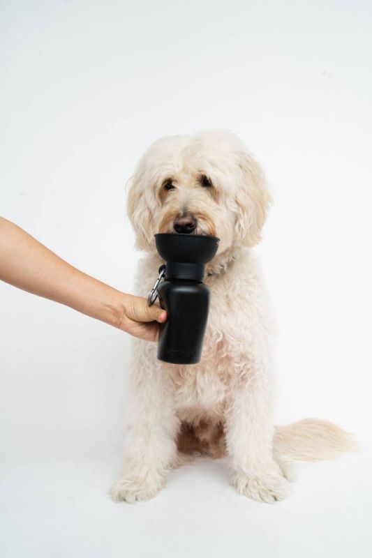 Пляшка-поїлка для собак Springland Чорний 590 мл