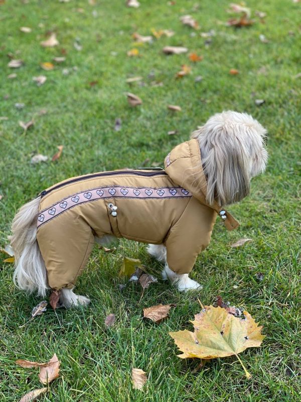 Комбінезон Одіс силікон (хлопчик) S2