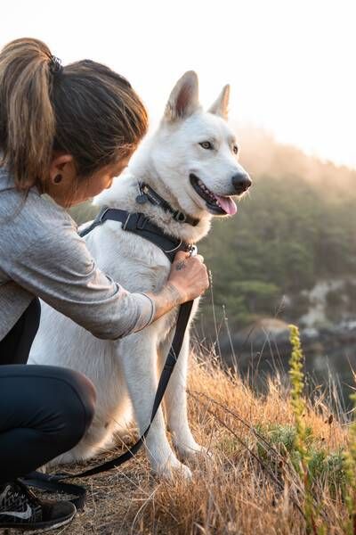 Повсякденна шлейка для собак Ruffwear Front Range® S 56-69 см Сірий