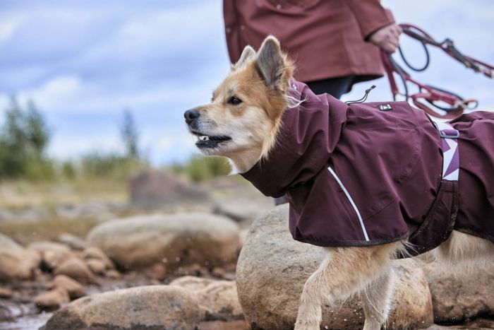 Дощовик для собак Hurtta Mudventure Coat ECO 30 Фіолетовий