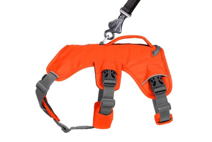 Підтримуюча шлейка для службових собак Ruffwear Web Master™ XXS 33-43 см Помаранчевий