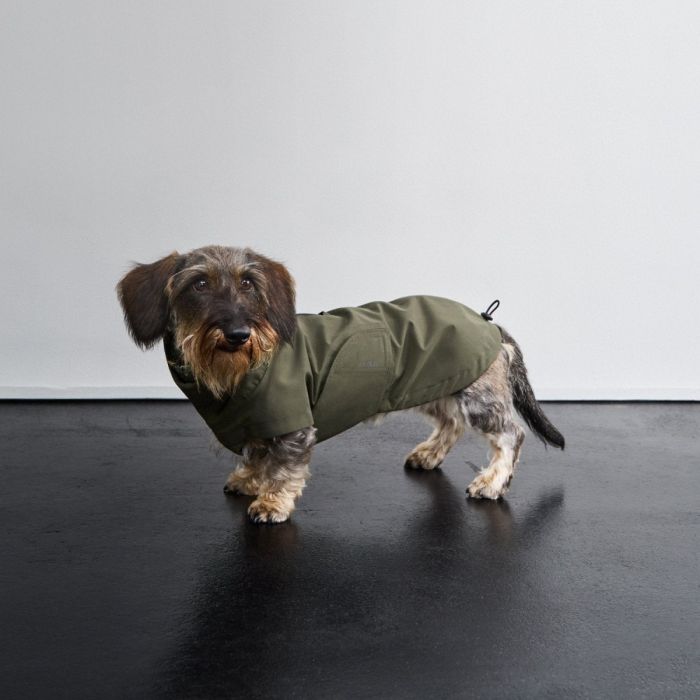 Дощовик для такс і схожих порід собак Cloud7 Dublin 2.0 Dachshund Оливковий 4