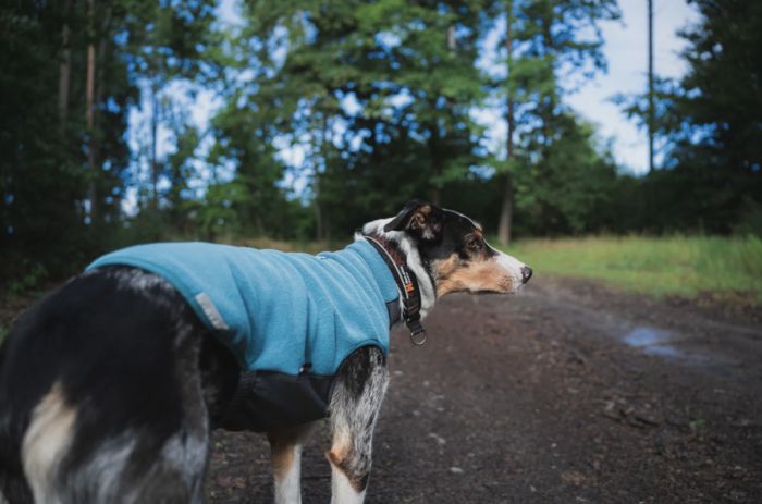 Флісовий пуловер для собак Non-stop dogwear Trail Quest Fleece Pullover Бірюзовий 65