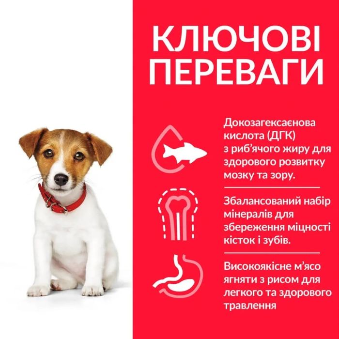 Hills (Хіллс) SP Puppy Small  Miniature з куркою - сухий корм для цуценят дрібних порід 0,3 кг