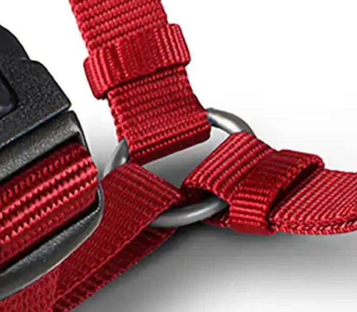 Анатомічна шлейка для собак Wolters Professional XS 25-35 см / 10 мм Червоний