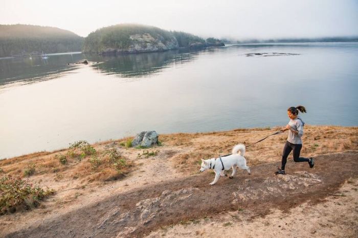 Повсякденна шлейка для собак Ruffwear Front Range® S 56-69 см Сірий