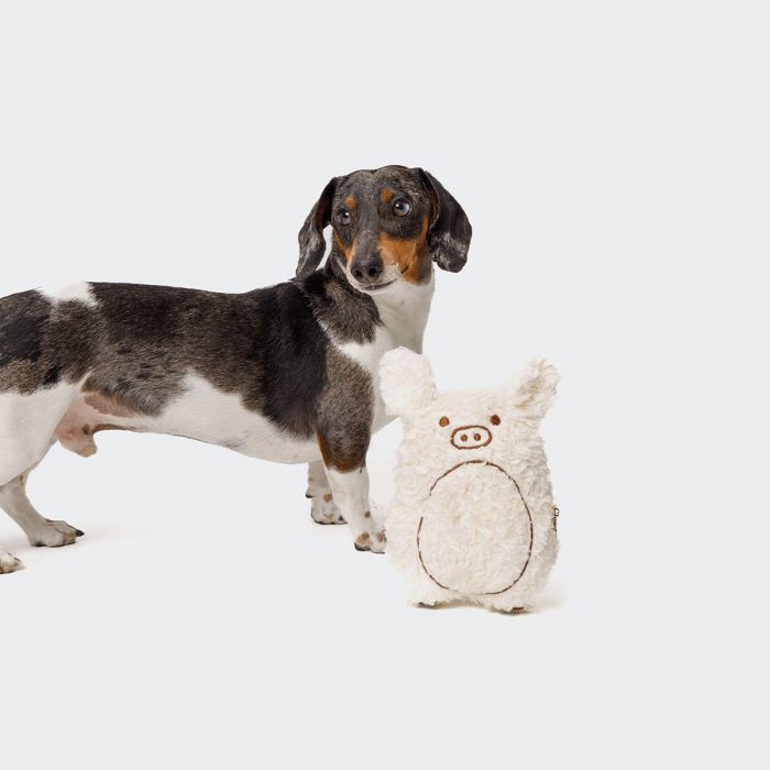 М'яка іграшка для собак Cloud7 Toy Piggy Harry Коричневий One Size