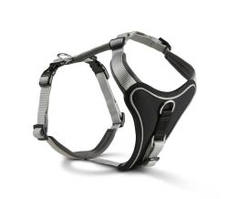 Шлейка для собак пом'якшена Wolters Professional Comfort 4 60-70 см / 30 мм Сріблястий