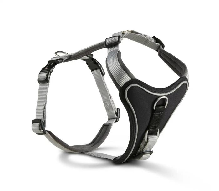 Шлейка для собак пом'якшена Wolters Professional Comfort 4 60-70 см / 30 мм Сріблястий