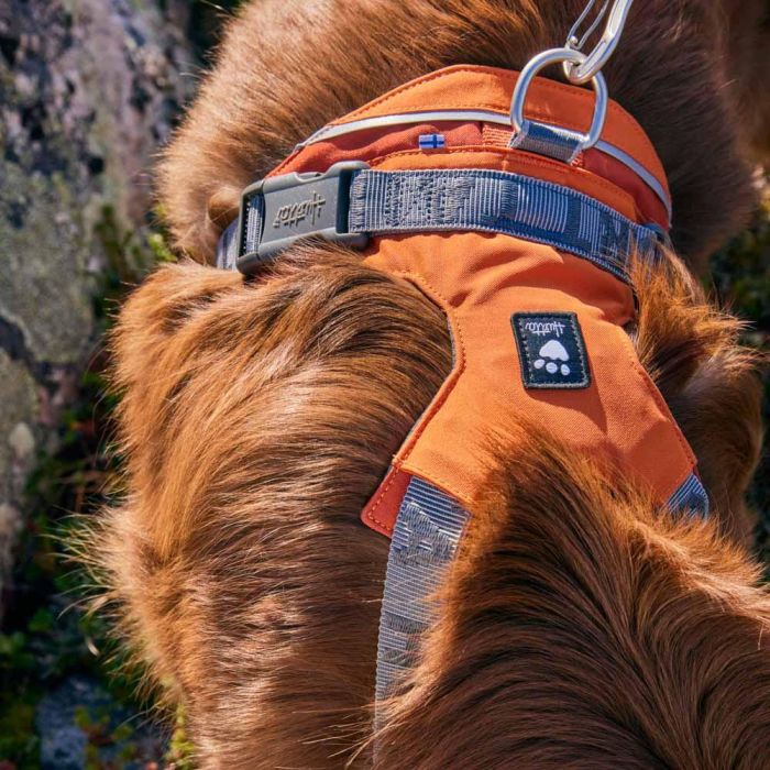 Шлейка для великих порід собак Hurtta Rover Harness Помаранчевий 75-95