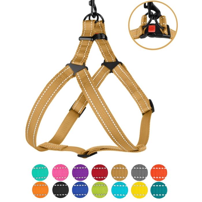 Шлея для собак BronzeDog золото пластиковий фастекс 1226 70Т 16мм (40-53см)