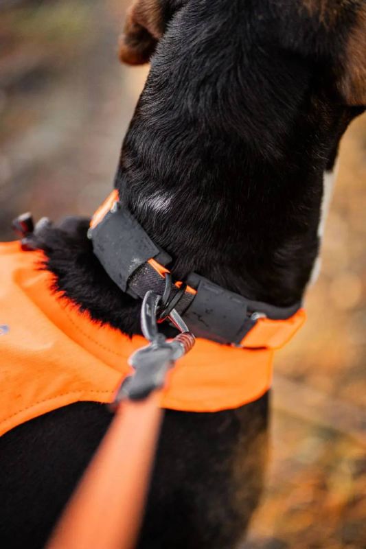 Нашийник для собак Protector Non-stop dogwear Помаранчевий 36