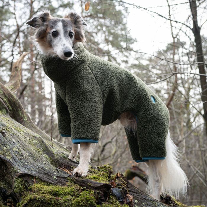 Светр для грейхаундів та інших хортів Cloud7 Cornwall Greyhound Оливковий 9