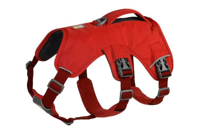Підтримуюча шлейка для службових собак Ruffwear Web Master XXS 33-43 см Червоний