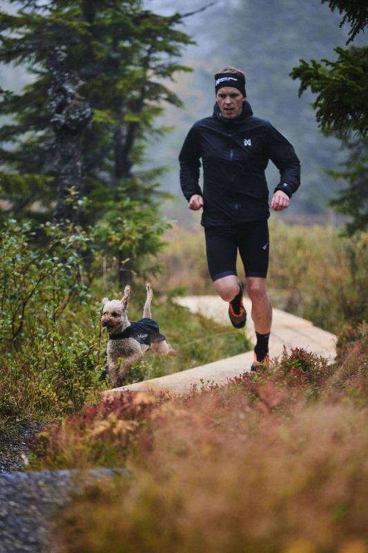 Куртка для собак Trail light Non-stop dogwear Сірий 40