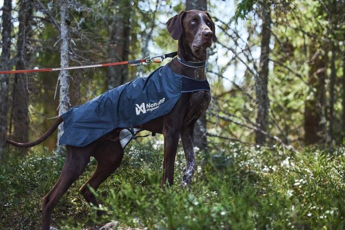 Куртка для собак Trail light Non-stop dogwear Сірий 36