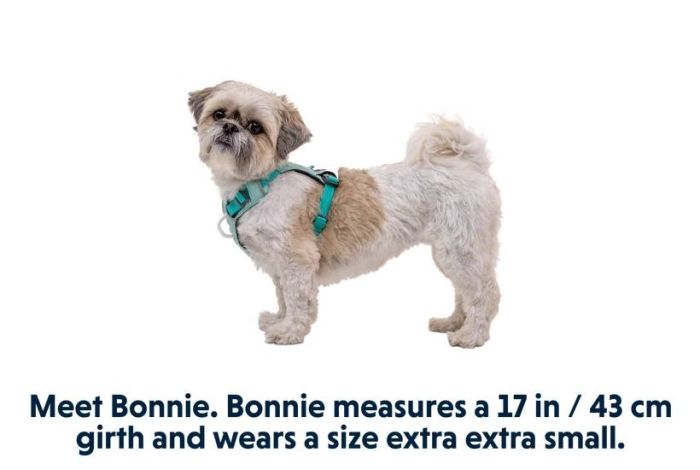 Полегшена шлейка для собак Ruffwear Hi & Light™ M 69-81 см Зелений