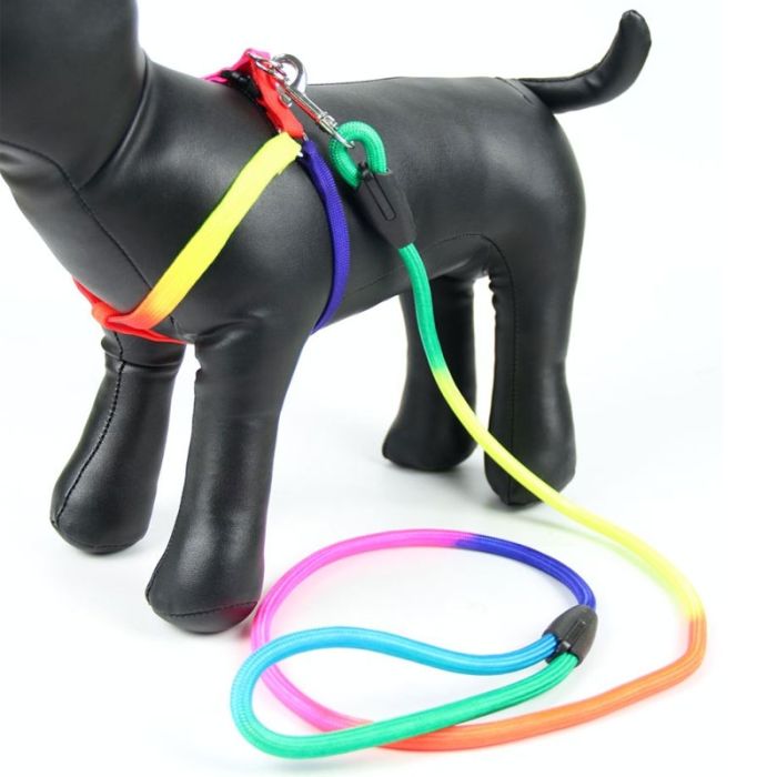 Шлея з повідцем для собак Веселка 