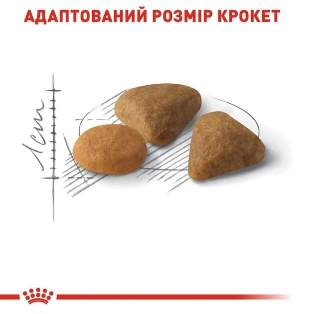 АКЦІЯ Royal Canin Exigent Savour для вибагливих набір корму для котів 2 кг + 4 паучі 