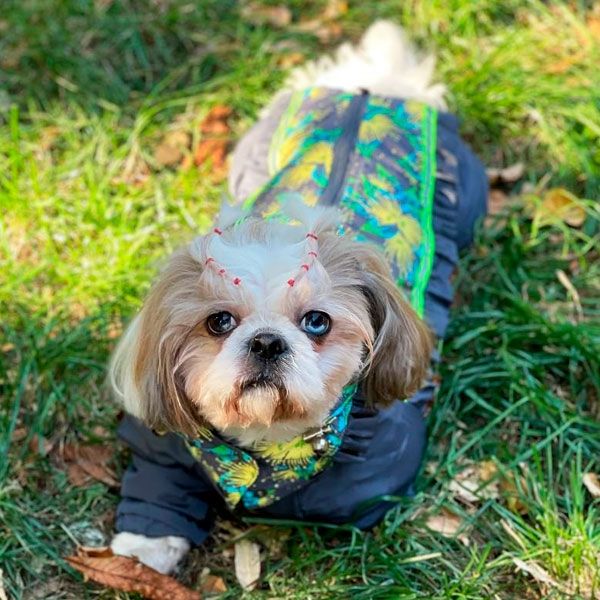 Комбінезон Грейсі велсофт (дівчинка) S1