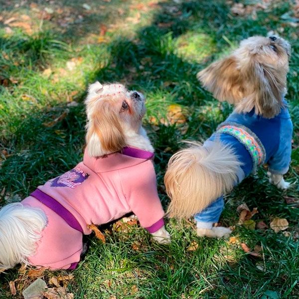 Комбінезон Колорит велюр (хлопчик) S