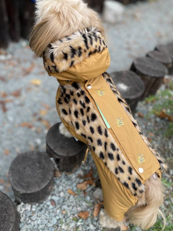 Лео комбінезон для собак хлопчиків на силіконі S