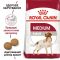 АКЦІЯ Royal Canin Medium Adult сухий корм для собак середніх порід 12+3 кг 