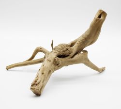 Корінь азалія XL (10001200 г)