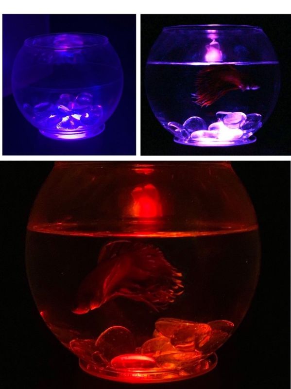 Світиться елемент В20 