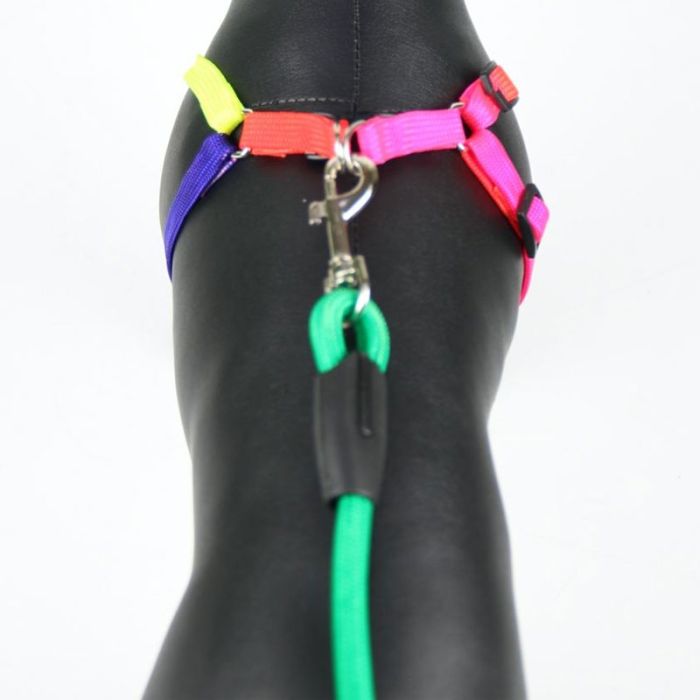 Шлея з повідцем для собак Веселка 