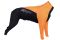 Комбінезон для собак жіночої статі Non-stop dogwear Protector dog suit F Помаранчевий 30