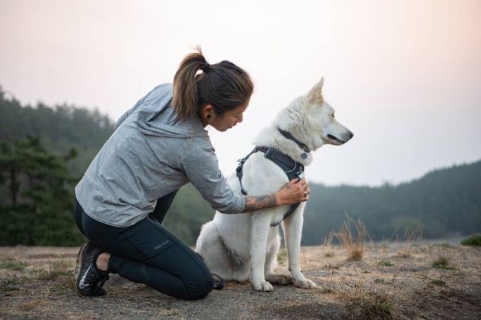 Повсякденна шлейка для собак Ruffwear Front Range® L/XL 81-107 см Сірий