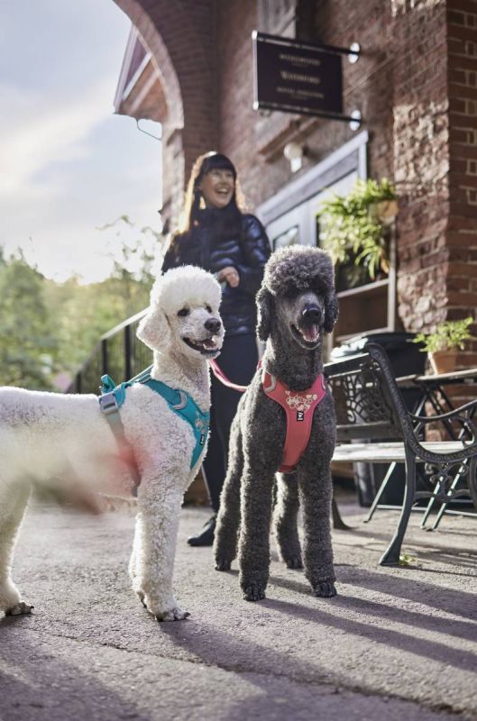 Шлейка для собак пом'якшена Hurtta Weekend Warrior 100-120 см Рожевий