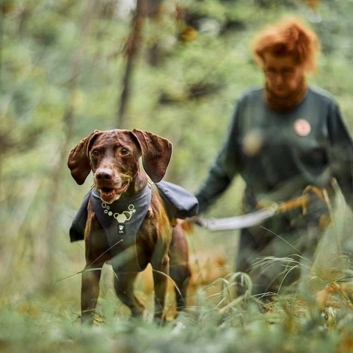 Шлейка-рюкзак для собак Hurtta Expedition Pack ECO Сірий 45-65