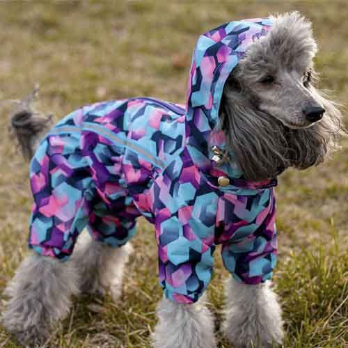 Стільники комбінезон для собак дівчаток велсофт без силікону XS