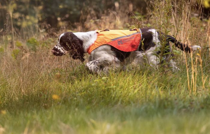 Жилет для собак Non-stop dogwear Protector cover 2.0 Помаранчевий XL