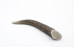 Ріг оленя Lucky dogs Твердий. M 22-25 см.