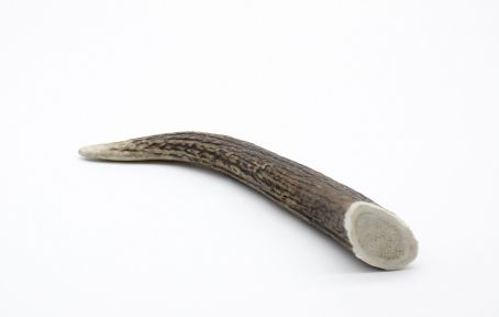 Ріг оленя Lucky dogs Твердий. M 22-25 см.