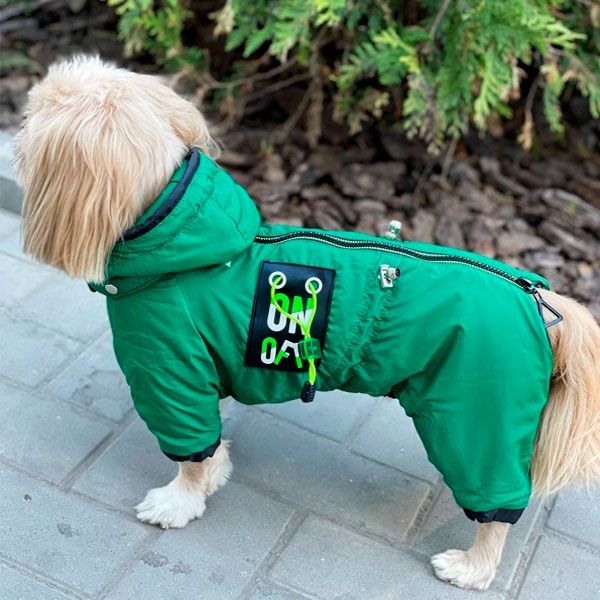 Комбінезон Халк велсофт (хлопчик) S2