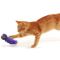 Іграшка для котів Kong Cat Active Cork Ball Рожевий