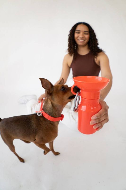 Пляшка-поїлка для собак Springland Помаранчевий 450 мл