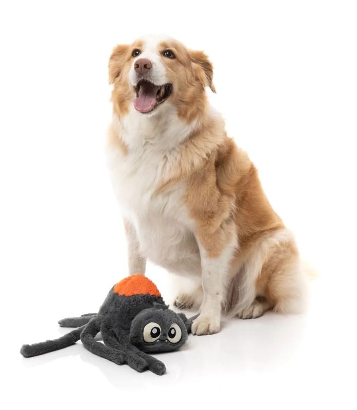 М'яка іграшка для собак FuzzYard Паук Арахнат