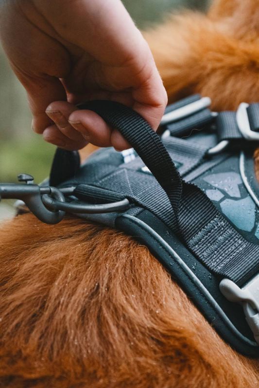 Шлейка для собак пом'якшена Hurtta Weekend Warrior 80-100 см Чорний