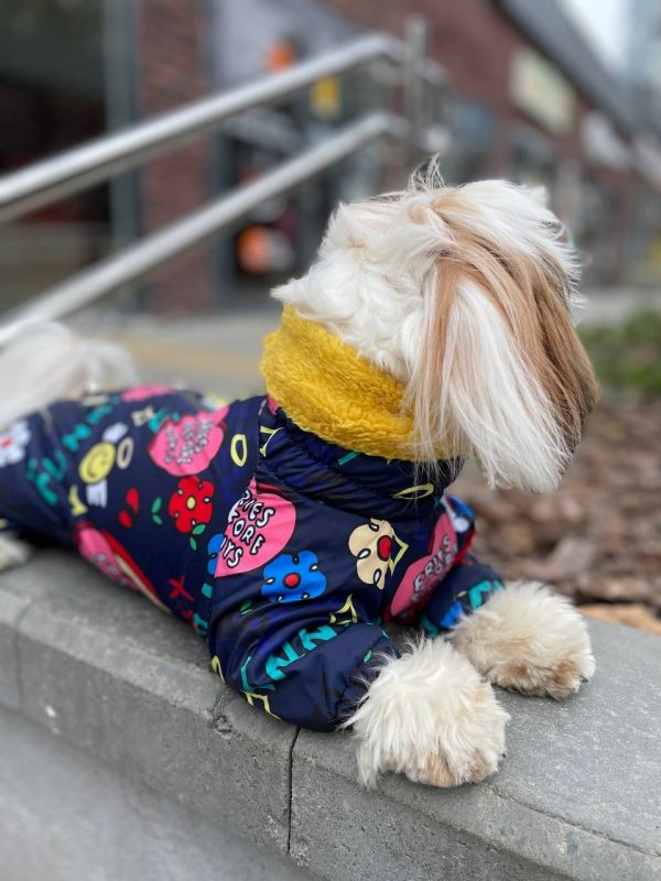 Ляля комбінезон на овчині без силікону для собак дівчаток S2 мопс